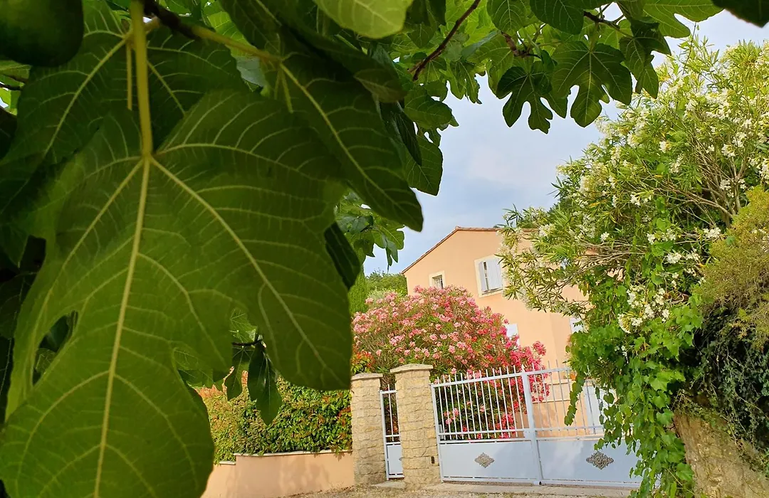 La Villa St Roch-1